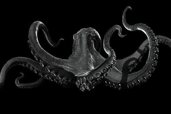 Kraken darknet