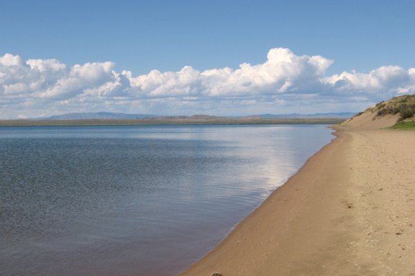 Кракен наркошоп ссылка