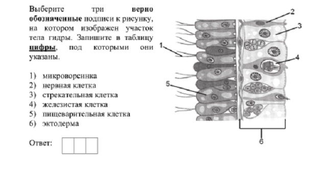 Кракен сайт krakens13 at